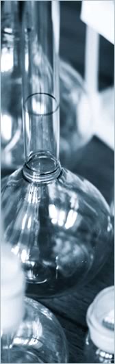 lab